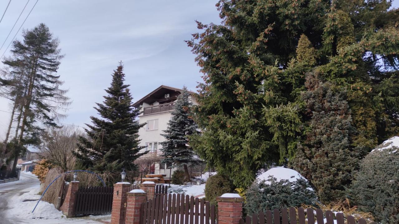 Alfa 2 Apartament 3 Bystra  Exteriér fotografie
